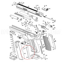 Muelle de Retencion de Cargador CZ 75 TS 