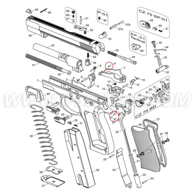 Eemann Tech Hammer Strut Pin for CZ