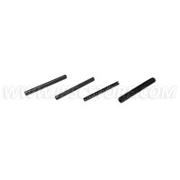 Eemann Tech Pins Set for CZ P-10