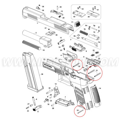 Eemann Tech Pins Set for CZ P-10