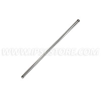 Grand Power Stribog Recoil Spring Extended