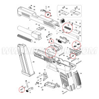 Eemann Tech Springs Set for CZ P-10