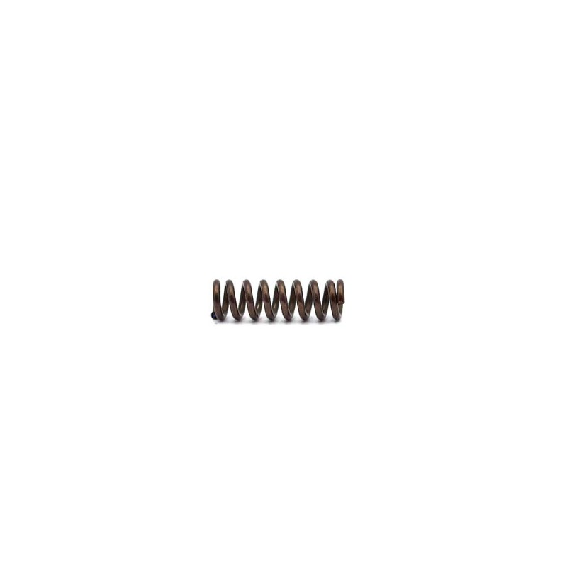 CZ P-10 Disassembly Plate Spring