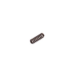 CZ P-10 Disassembly Plate Spring