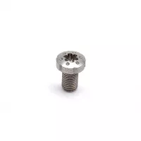 Strike Industries SI-1911TS-SS 1911 Torx Grip Screws with Stainless Steel