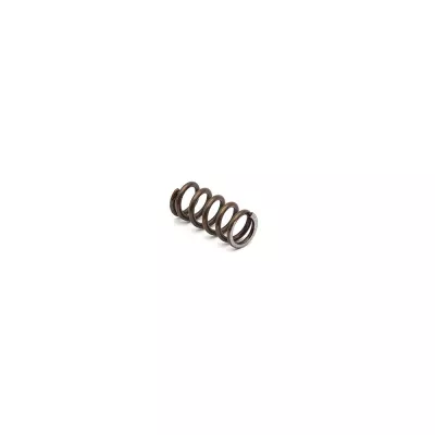 Eemann Tech Extractor Spring for Walther P99/PPQ