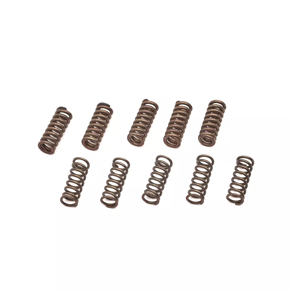 SCHEEL MFG RDBS Small Spring Kit for GEN 2