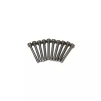 Lyman Decapping Pin - 10 pcs./set